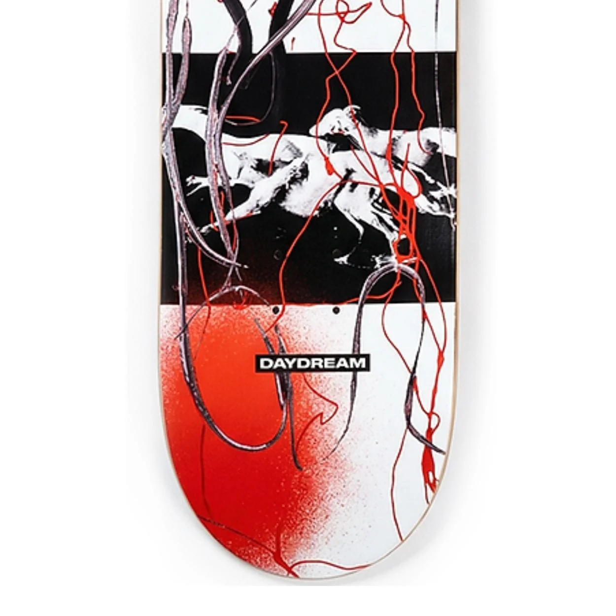 Daydream Hound Skateboard Deck | 8.25" - Image 4